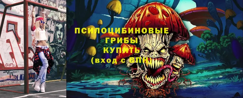 Псилоцибиновые грибы Cubensis  Нягань 